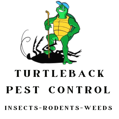 Turtleback Pest Control