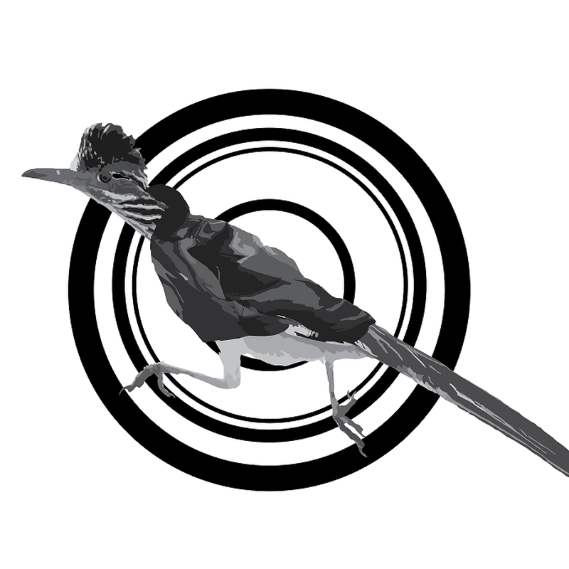 Rebel Roadrunner
